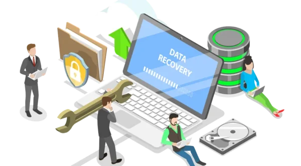 Professional Data Recovery Services