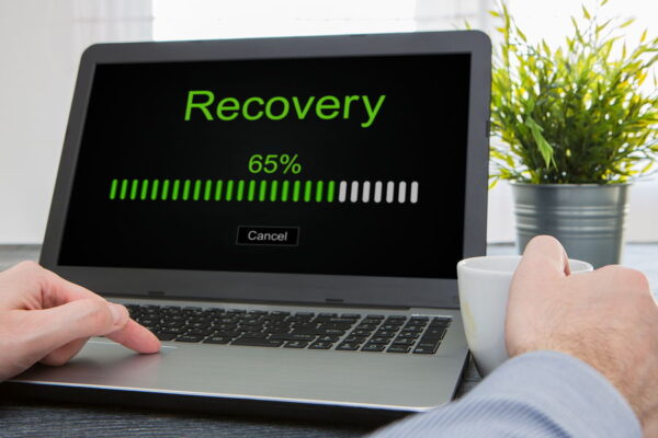 Professional Data Recovery Services - Image 3